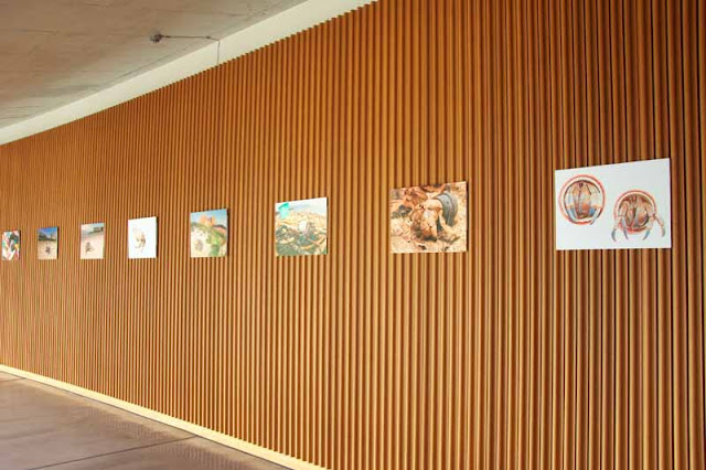 printed photos, exibition, Oiknawa OIST, wall