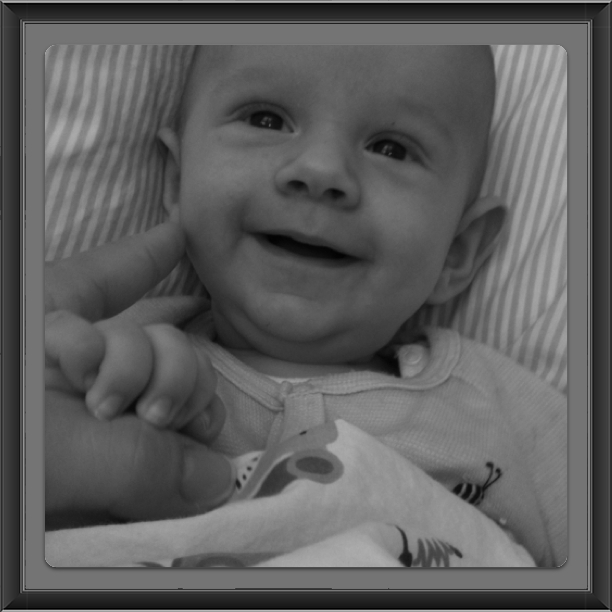 Sur sur sur lille bi omkring…. | frk vilstrup