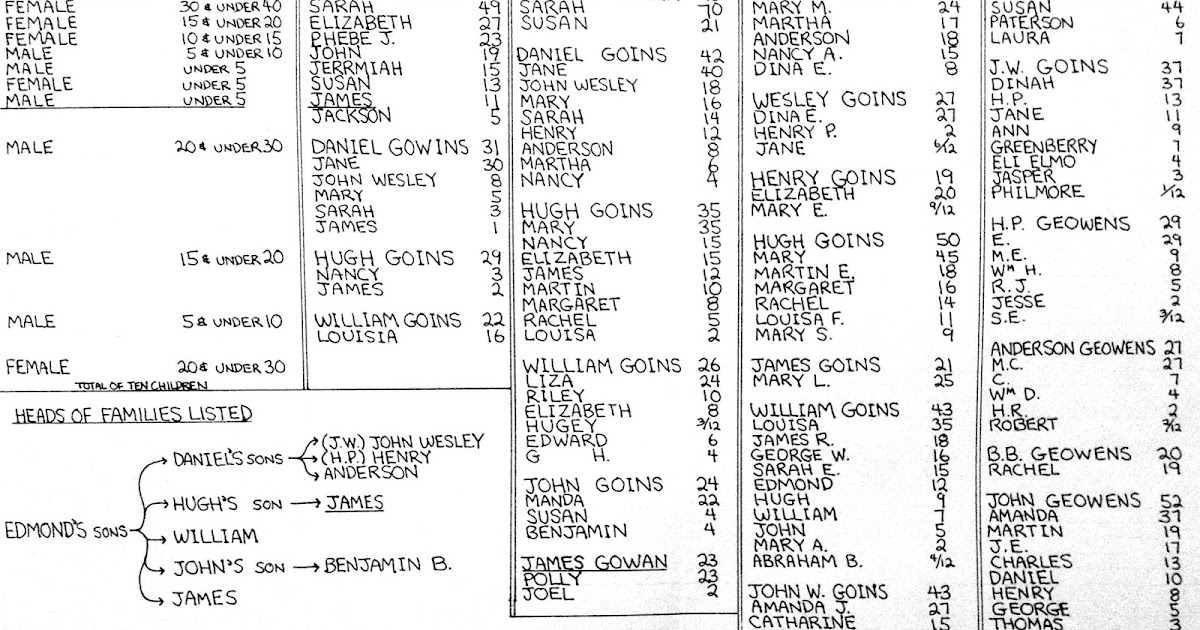 Which Goins Am I? Goins Clan of Bradley County, Tennessee