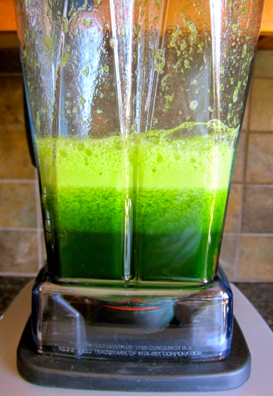 Beauty, Bites & Adorations Vitamix Blender Recipe for the Ultimate