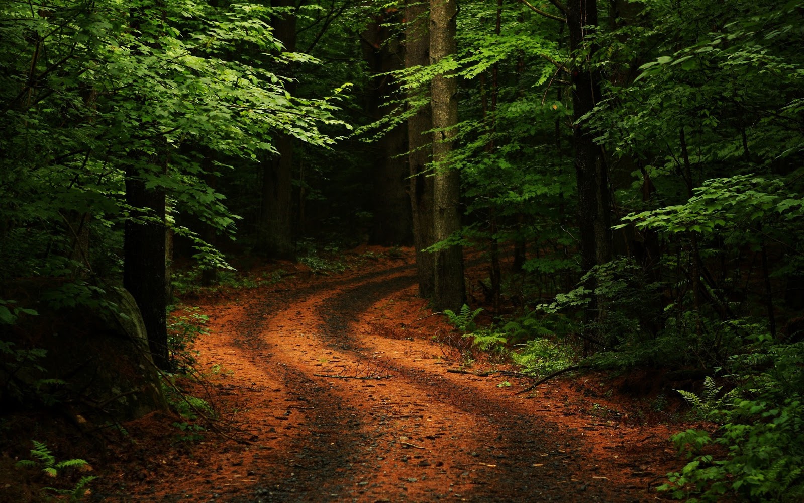 Free Download 40+ Cool Wallpapers 2013 Full HD(1080p) | free download