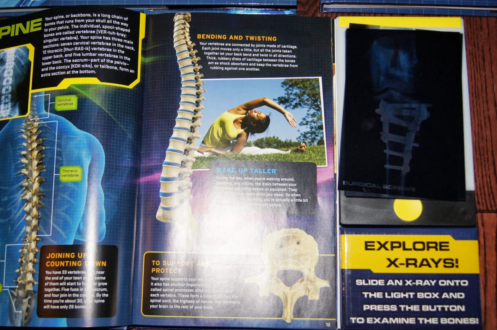 XRay Books For Kids "Making Montessori Ours"