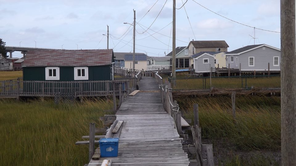 Wildwood 365 Grassy Sound A Profile of "True Grit"