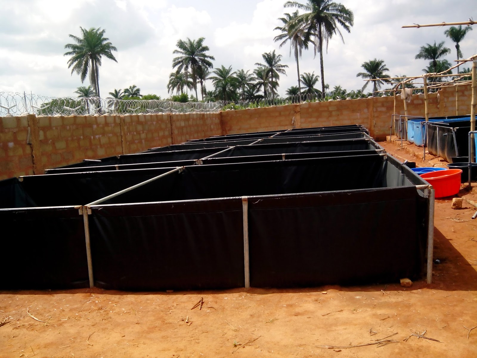 HOW TO SETUP A MOBILE POND IN NIGERIA KINGSWAY AGRO SERVICES