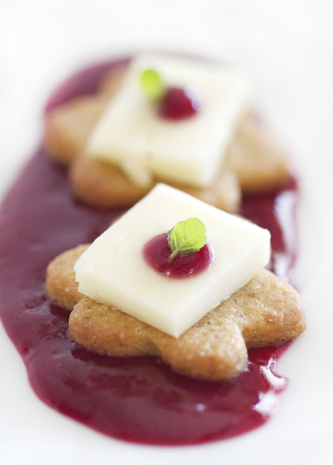 Epicurean Mom Mini Graham Cracker Sables with Raspberry and Taleggio