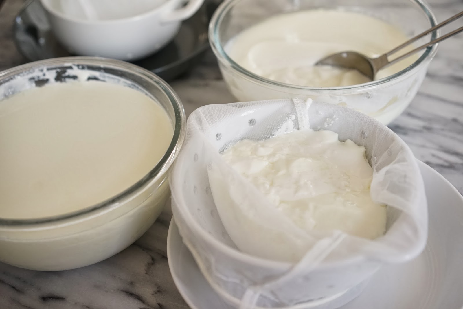 Homemade Regular and Greek Yogurt Chef Rachida