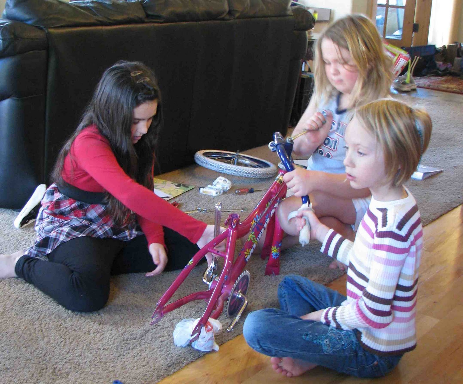 Bicycle Simple Machines