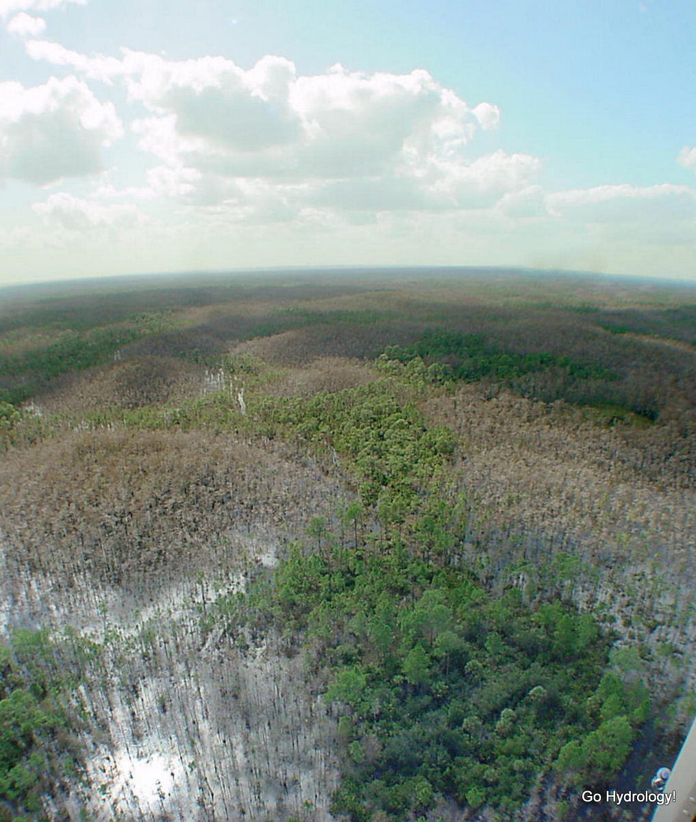 swamp definition hrant