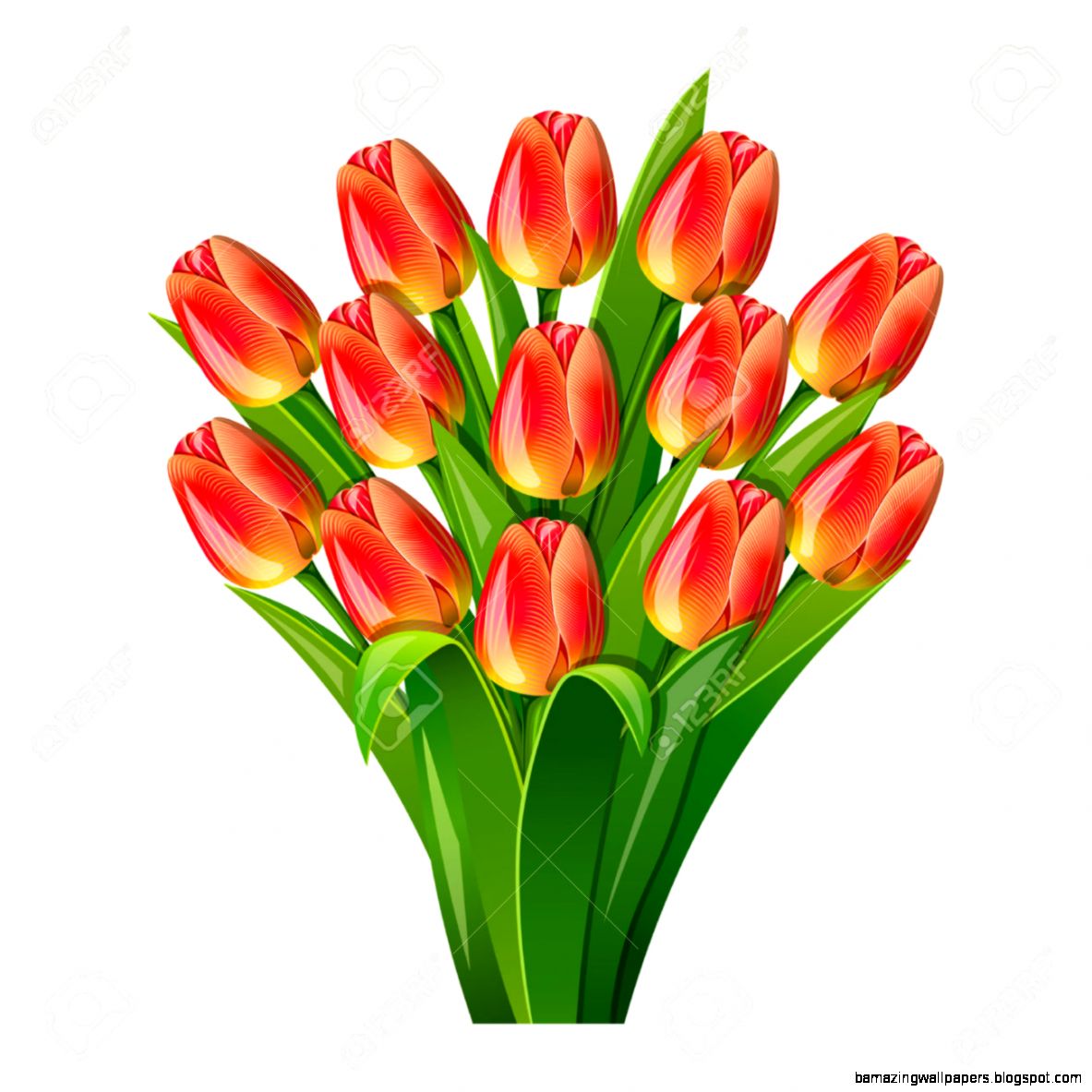 Bouquet From Red Tulips On On A White Background Royalty Free Bouquet From Red Tulips On On A White Background Royalty Free