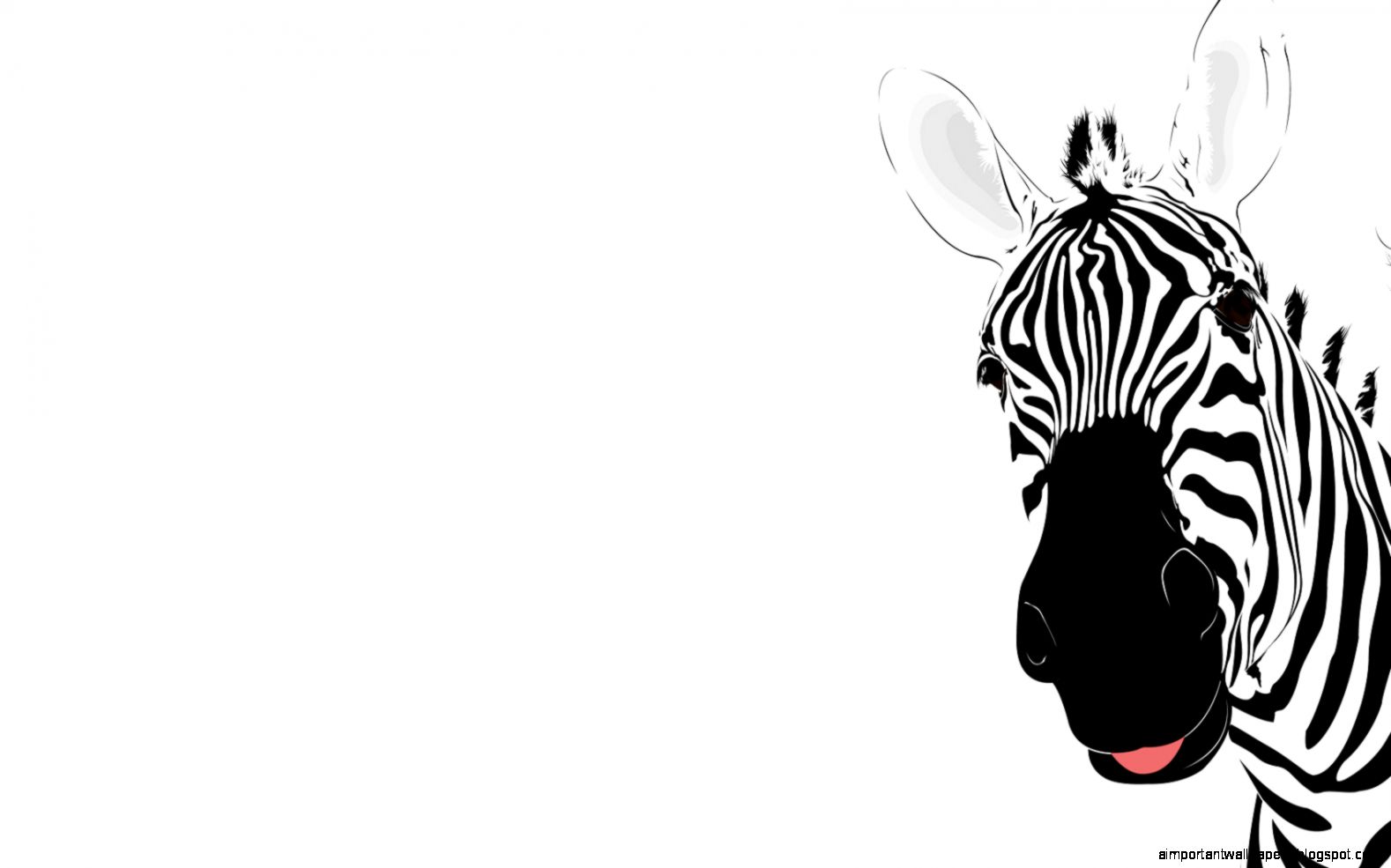 Whats Up Zebra Classic Paints Painting Wallpapers Colors Art Whats Up Zebra Classic Paints Painting Wallpapers Colors Art