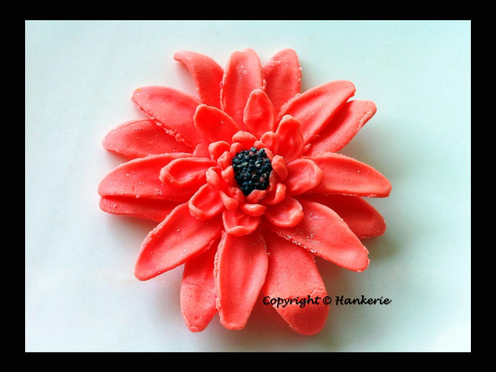 {Edible Sugar Flower} Orange Daisy Hankerie