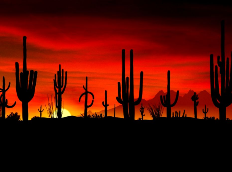 ADVOCATES for the WEST Sonoran Desert National Monument Followup ADVOCATES for the WEST Sonoran Desert National Monument Followup