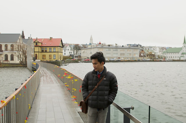 iceland, reykjavik, travelling, tjornin pond