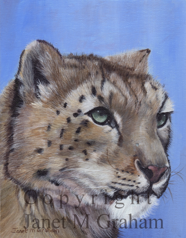 Janet M Graham's Painting Blog: Snow Leopard in Acrylics