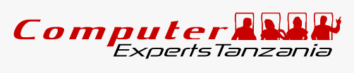 COMPUTER EXPERTS Tanzania.