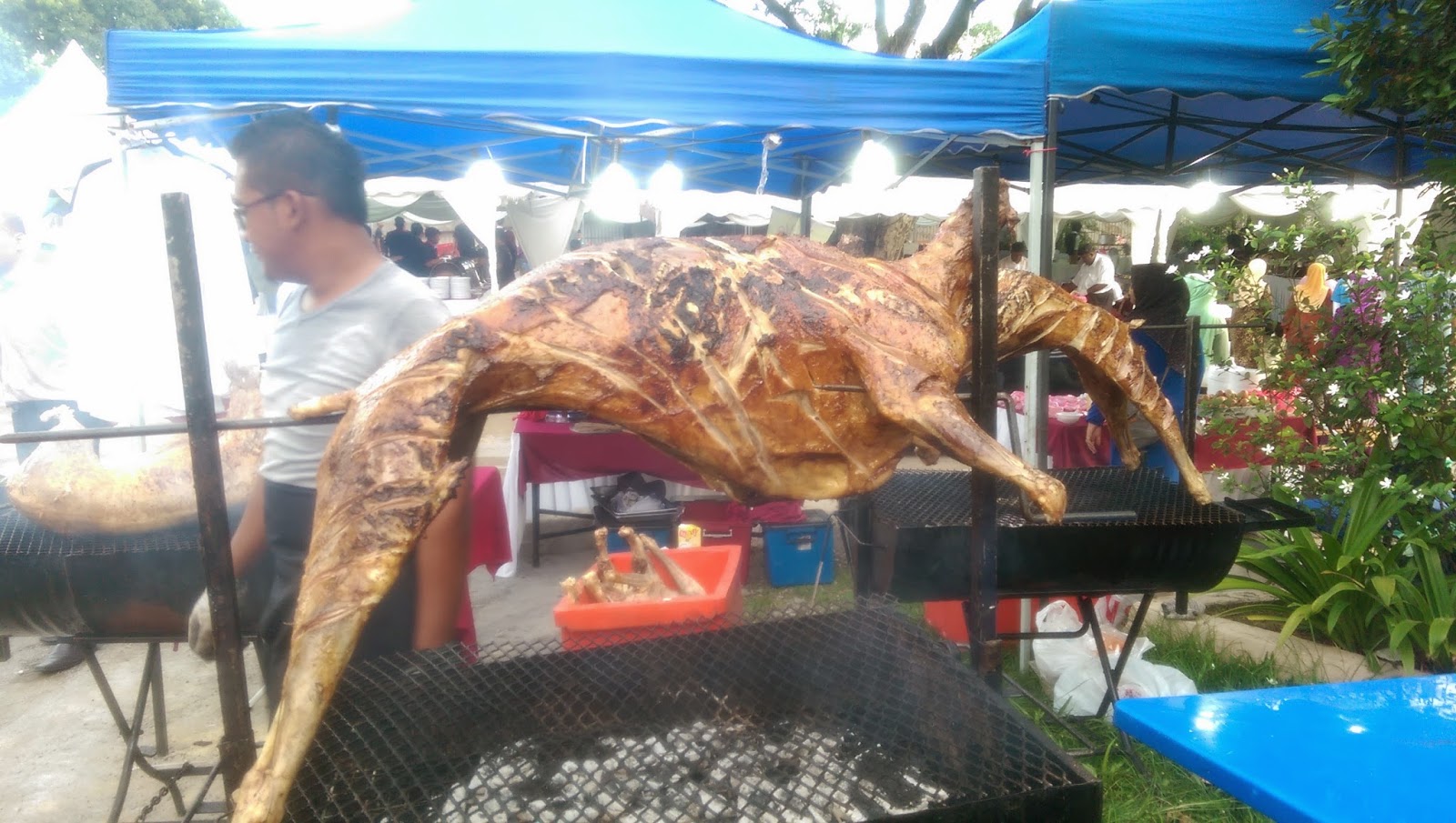 kambing golek istimewa