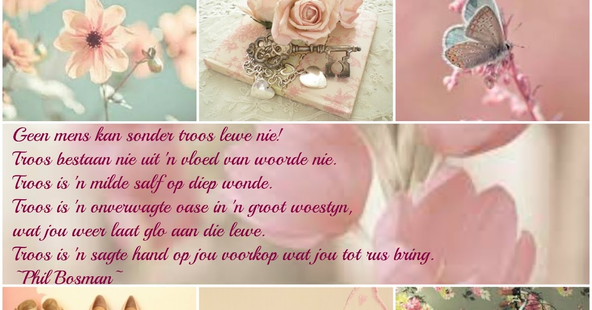 Get Phil bosman HD Phil Bosman