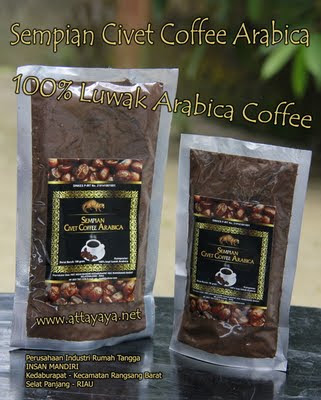 civet coffee powder, civet coffee beans, civet coffee arabica, coffee tree