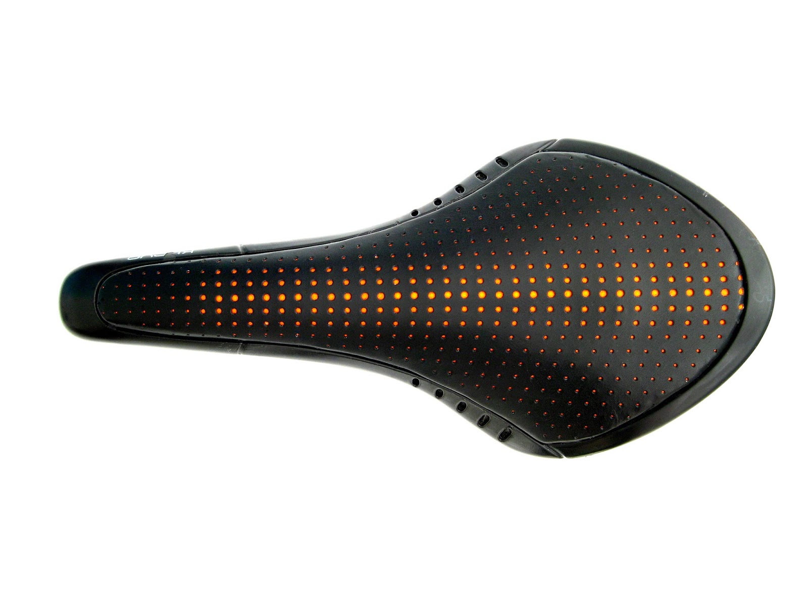 fizik kurve snake carbon