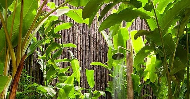 Me Pones de los Nervios: 40 cosas que compraré cuando sea millonario