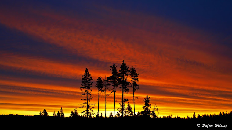 Morgon i Bergslagen