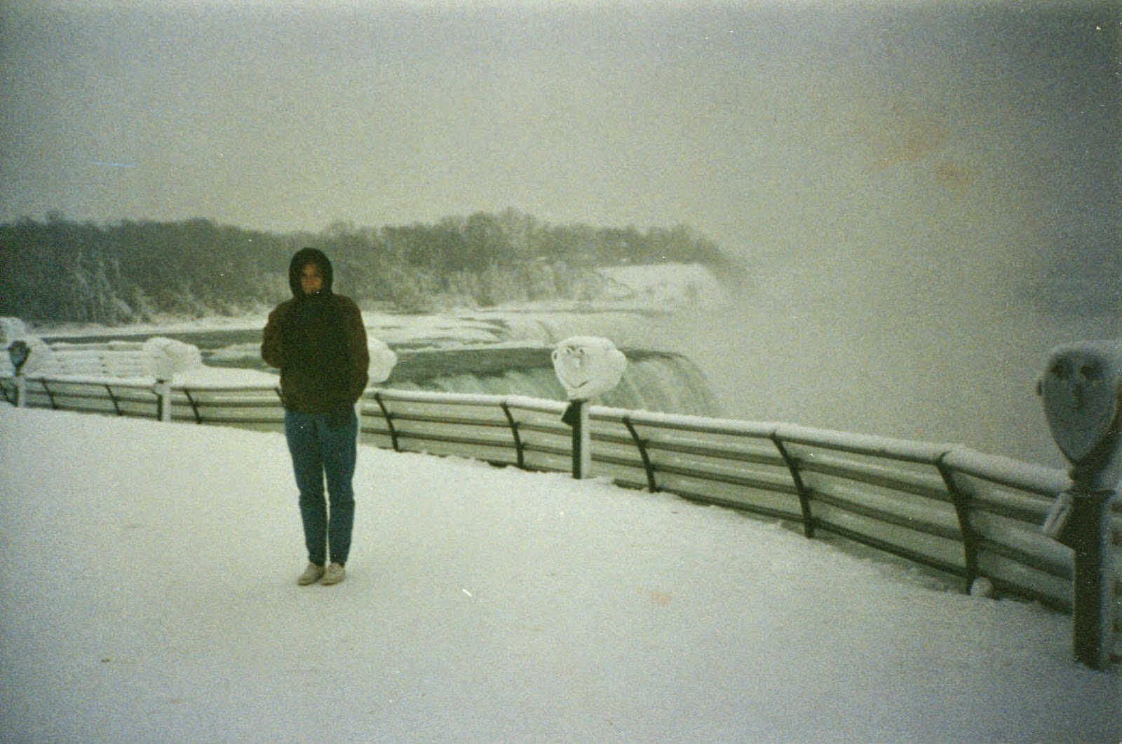 Niagara Falls in 1994