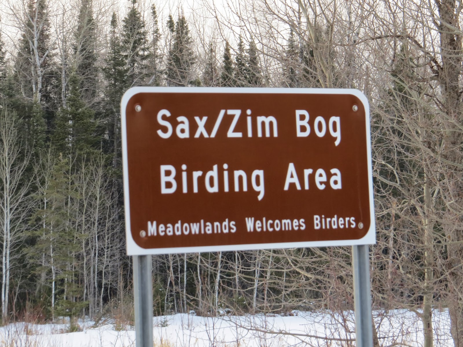 Birding Is Fun! Birding the SaxZim Bog