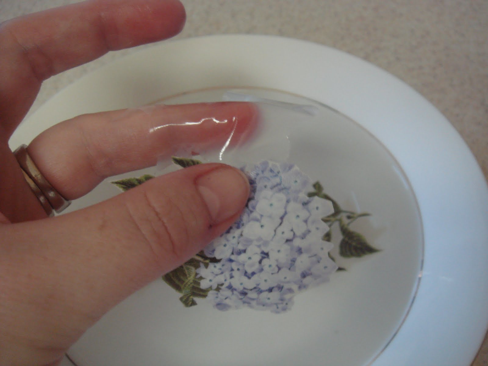 The Borrowed Brushstroke Tutorial Tuesdays How to Use Glass Transfer