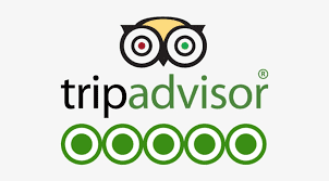 tripadvisor