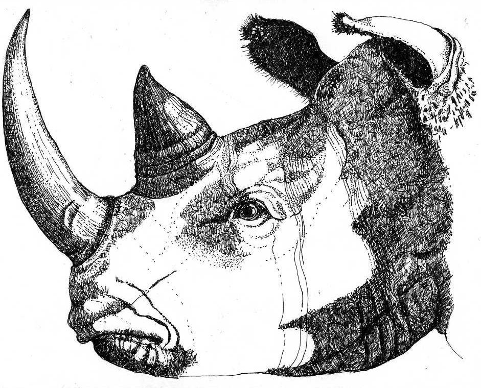 Cross Hatch Technique