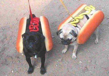 A real "hot dog"