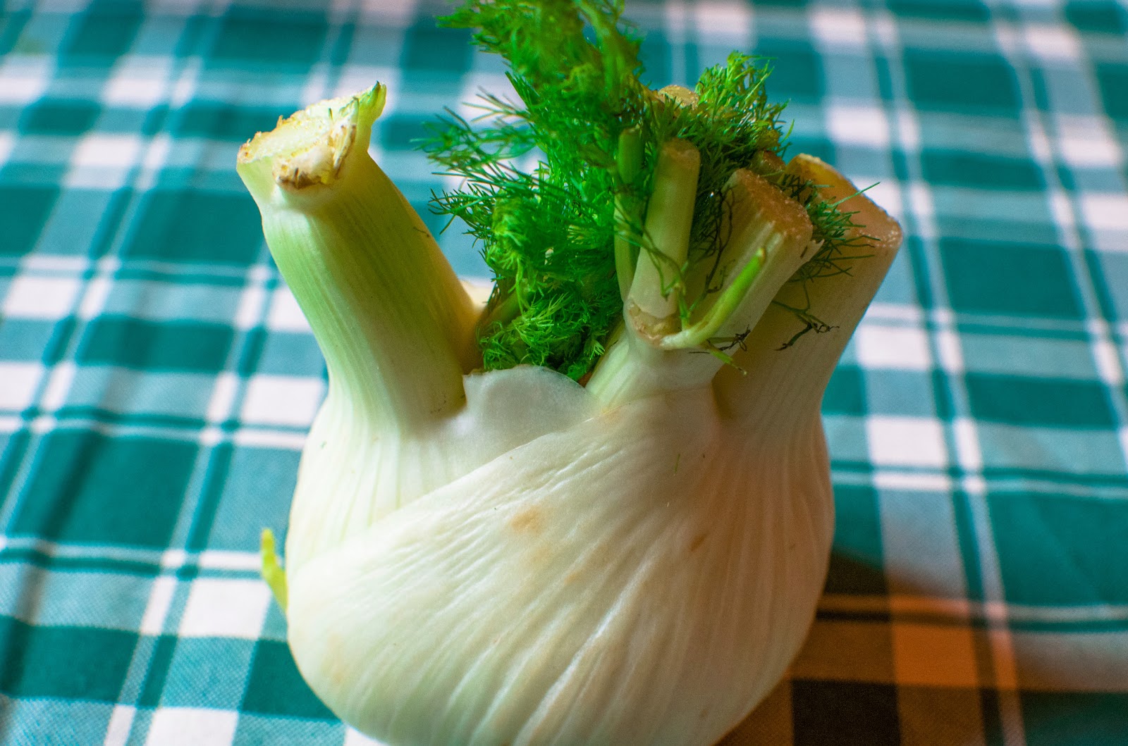 La Tavola Marche What to do with Fennel? Fennel & Blood Orange Salad