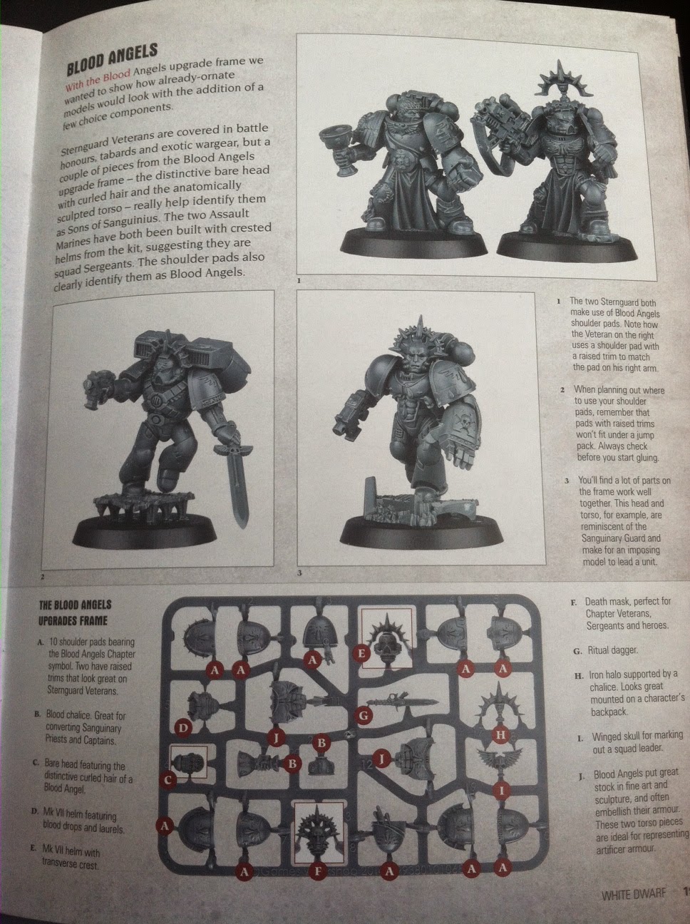 blood+angels+sprue.jpeg