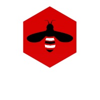 Muhammad Habibi