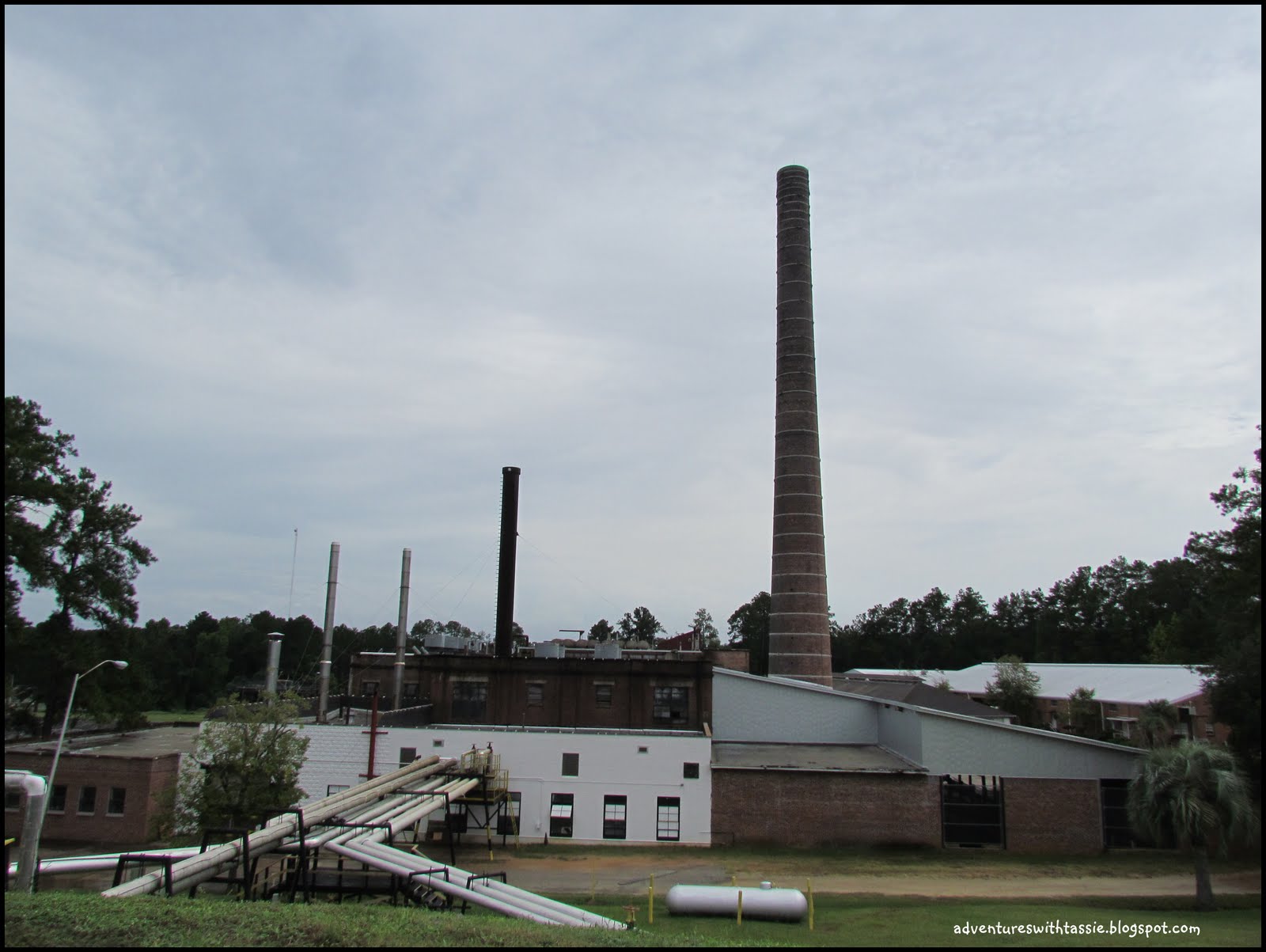 Our Adventures with "Josie" Historic Florida State Hospital