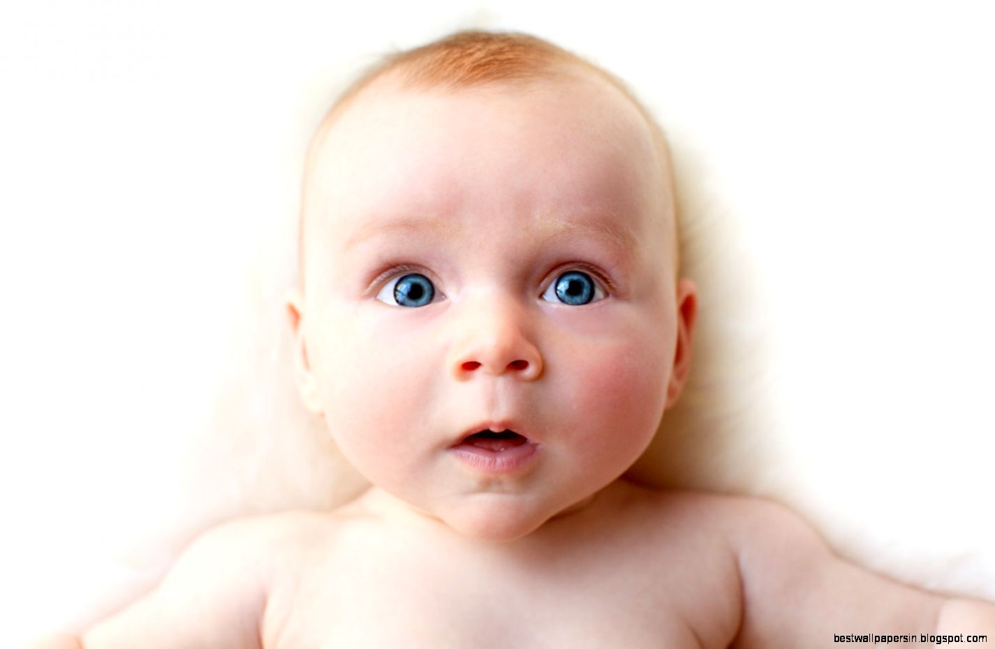 Boggio Studios Baby Photographer in London Bump to Baby Boggio Studios Baby Photographer in London Bump to Baby