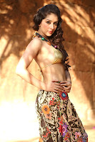 Samiksha, Hot, Photoshoot