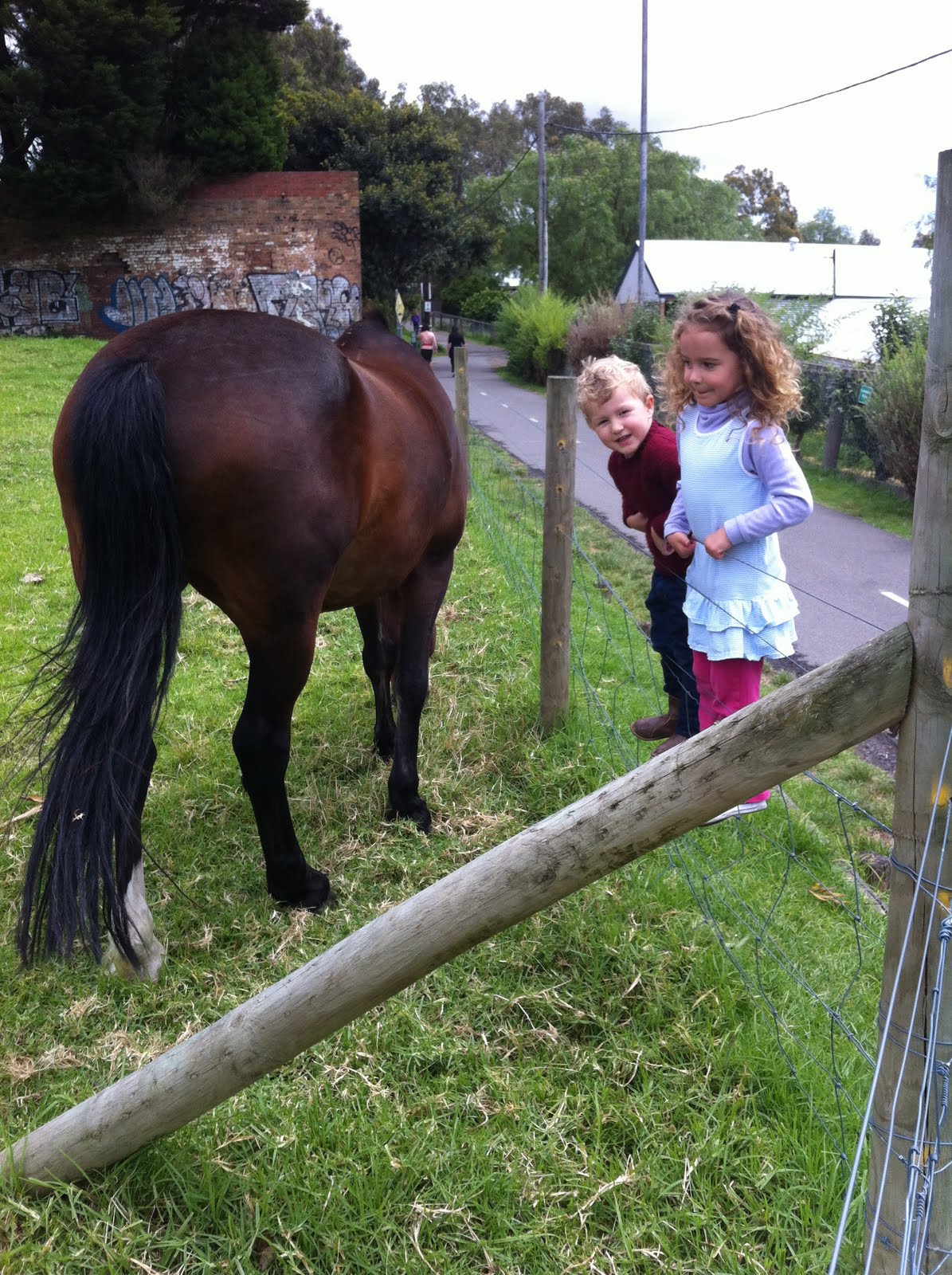 We Loved Canada...We Love Melbourne! Collingwood Children's Farm
