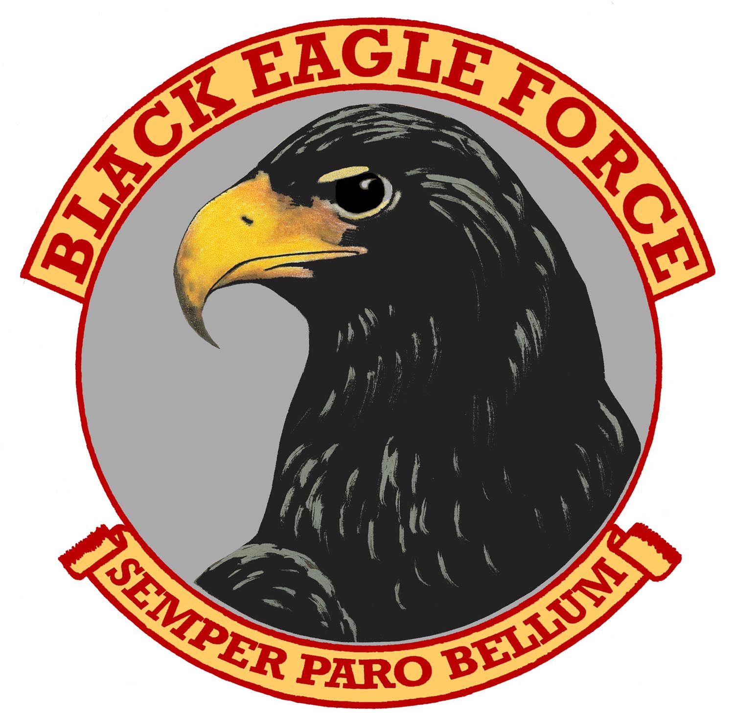 BLACK EAGLE FORCE BLACK EAGLE FORCE EYE OF THE STORM Reminiscent of