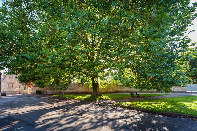 Village green in Bampton Oxfordshire by Martyn Ferry Photography