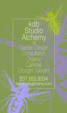 Studio Alchemy Design