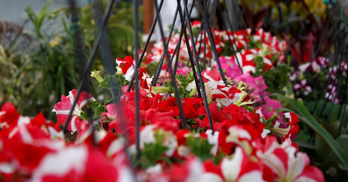 Reflections Of Colors..!!