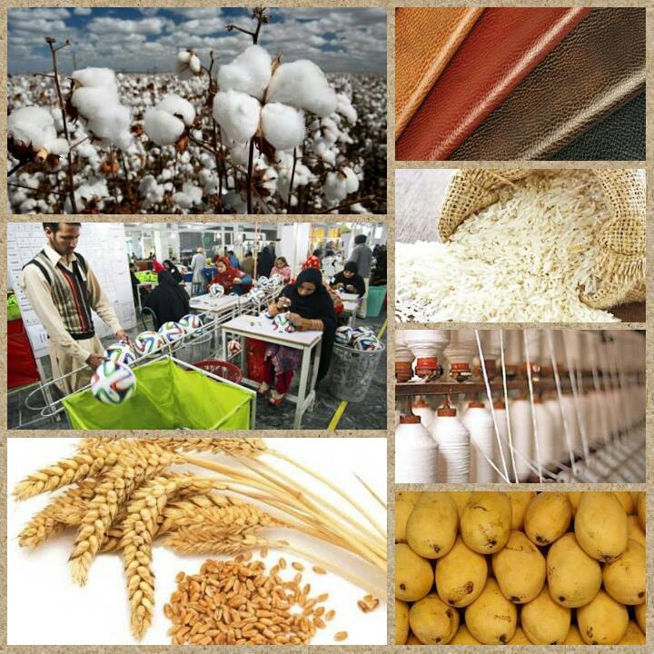 Why are Pakistan's exports declining