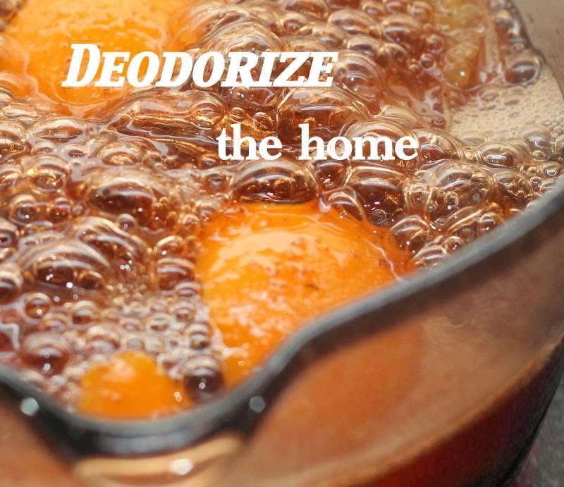 do it yourself divas DIY Natural Home Deodorizer