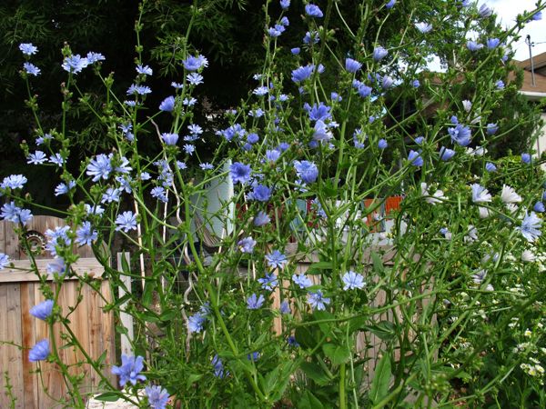 Gritty Pretty: July 2011