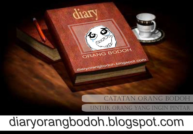 diary orang bodoh