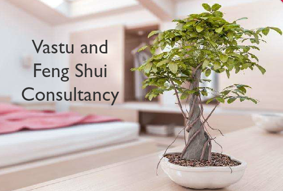 Vastu and Feng Shui Consultancy