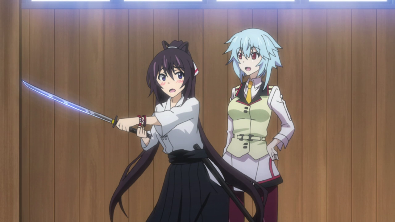 Incompetent Protagonist: Infinite Stratos Anime Review — Eightify