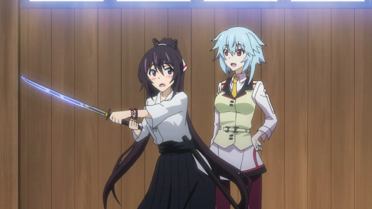 IS Infinite Stratos 08 – METANORN