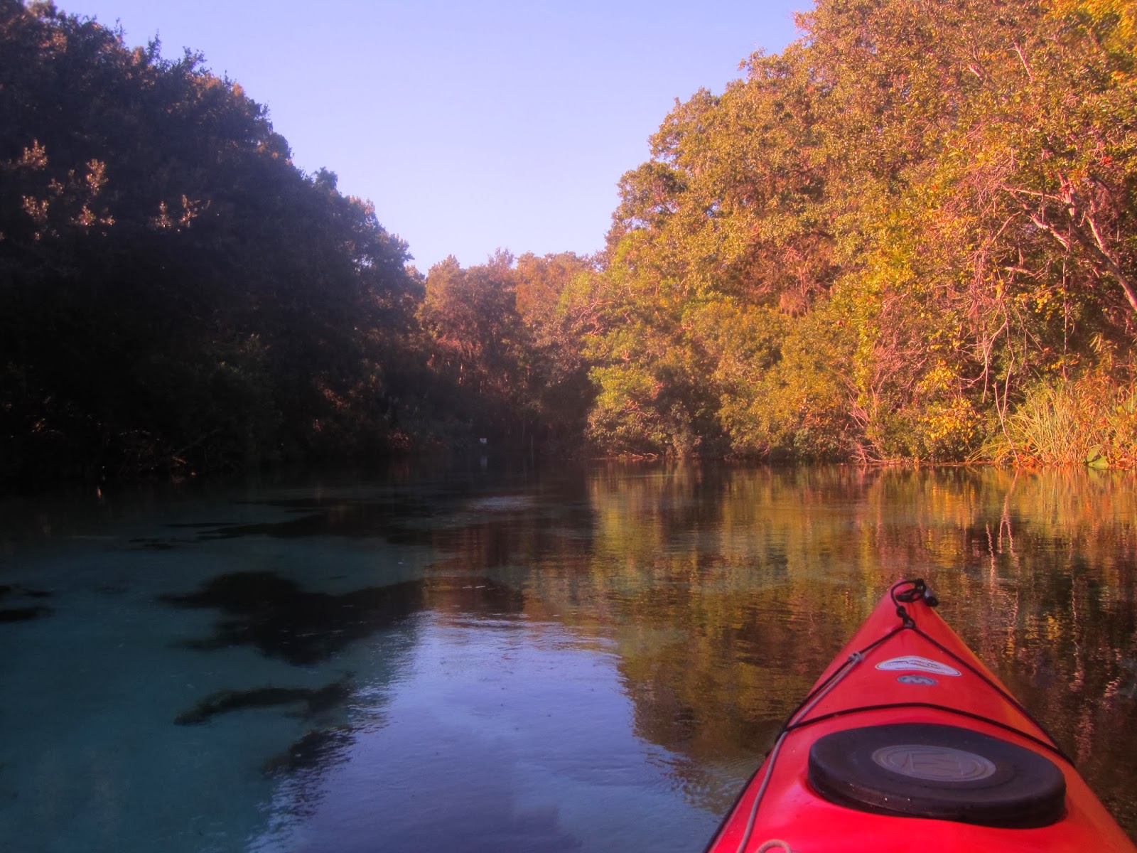 Dave's Yak Tales Weeki Wachee, Mud River, and Salt Spring